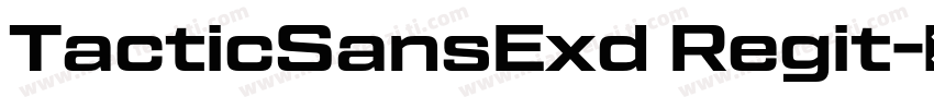 TacticSansExd Regit字体转换